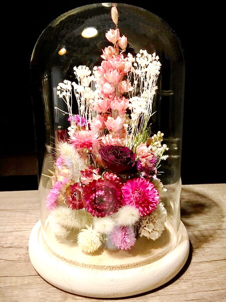 153140-Cloche fleurs séchées Pied d'Alouette